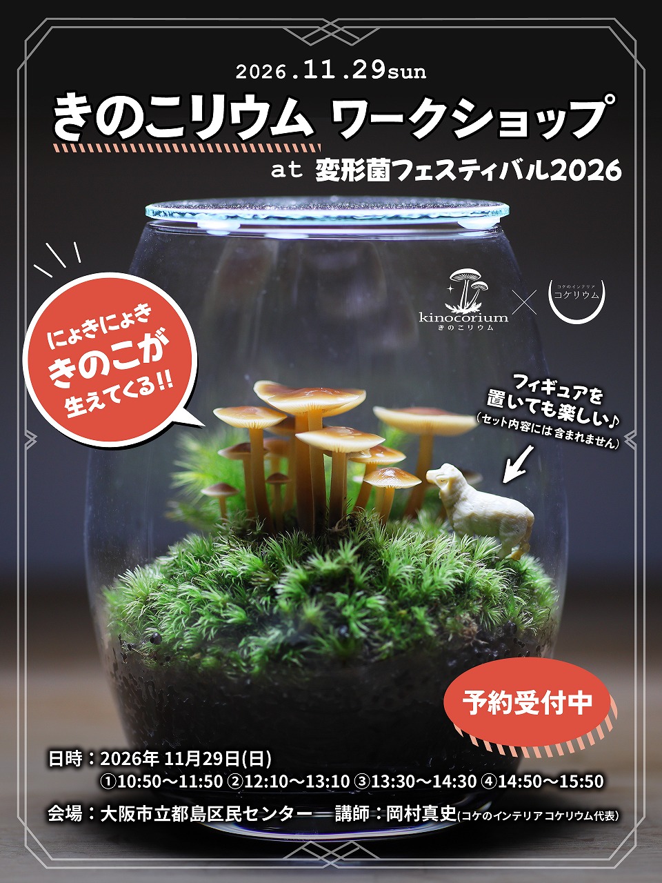 2026年11月29日(日)に【変形菌フェスティバル2026】できのこリウムのワークショップを開催します!