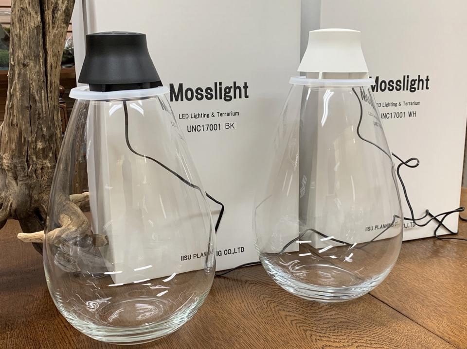 Mosslight（モスライト）販売開始です！！
