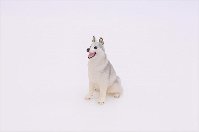 コケリウムフィギュア 犬 シベリアン・ハスキー：画像2