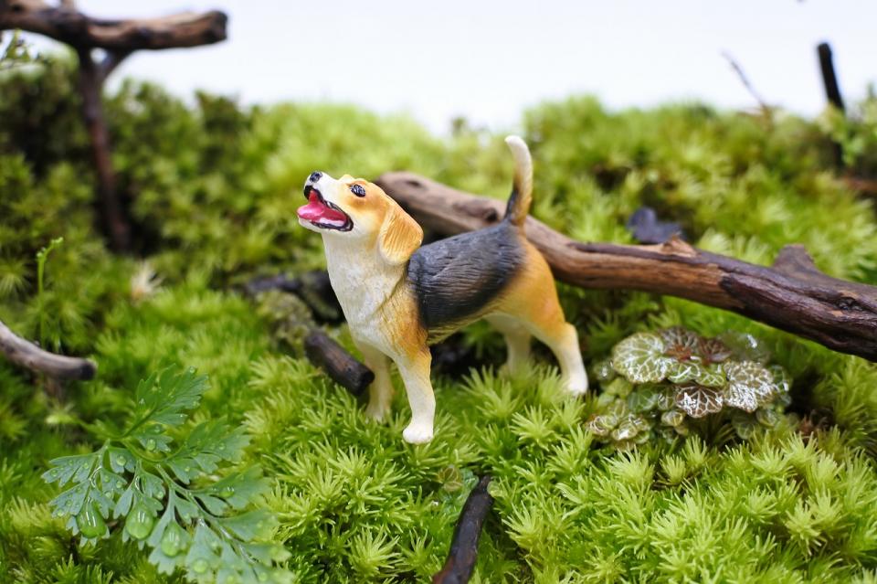 コケリウムフィギュア 犬 ビーグル