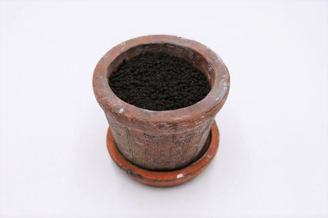 コケリウムキット 陶器の鉢植え シノブ：画像3